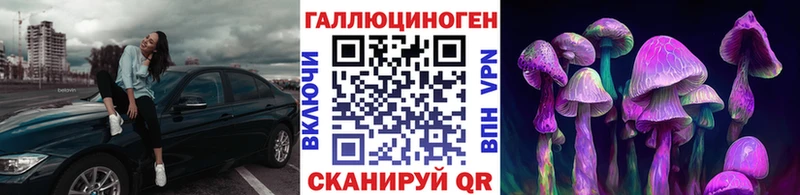 Купить  Шумиха  Псилоцибиновые грибы мицелий 